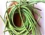 自制酸豆角的做法图解1
