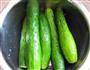 自制酸黄瓜的做法图解5
