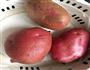 土豆泥的做法图解1