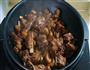 腔排骨烧栗子的做法图解4