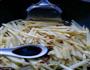 酸辣土豆丝的做法图解6