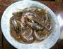 鲜虾瘦肉粥的做法图解4