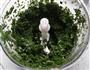 荠菜小馄饨的做法图解6