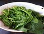 上汤菠菜的做法图解1