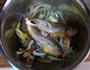 酱烧小黄鱼的做法图解2