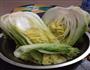 泡菜的做法图解4