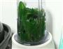 手工翡翠菠菜面的做法图解3