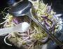 紫洋葱炒黄豆芽的做法图解5