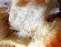 牛奶圆面包的做法图解11