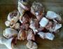 小鸡炖蘑菇的做法图解2