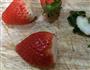 雪人草莓大福的做法图解5