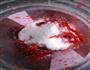 青红丝的做法图解10