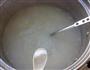 咸猪骨芥菜粥的做法图解4