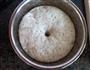 绿豆渣馒头的做法图解4