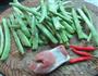 干煸四季豆的做法图解1