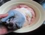 猪肚鸡的做法图解5