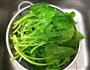 上汤菠菜的做法图解4