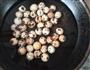啤酒鹌鹑蛋的做法图解2