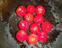 挂霜山楂的做法图解6