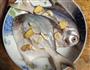 清蒸白鲳鱼的做法步骤6