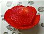 草莓蛋糕的做法图解3