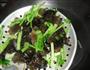 芹菜拌黑木耳的做法图解6