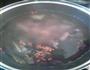 菜干猪骨汤的做法图解4