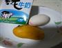 芒果味布丁的做法图解1