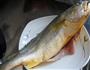 清蒸黄花鱼的做法图解1