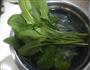 青菜豆腐汤的做法图解2