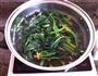 凉拌菠菜的做法图解2