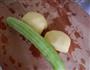 苹果拌青瓜的做法图解2