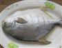 清蒸金鲳鱼的做法图解4