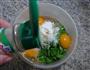 韭菜鸡蛋牡蛎煎的做法图解6