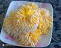 黄金菊的做法图解4