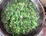 荠菜水饺的做法图解2