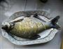 清蒸鳊鱼的做法图解6