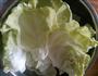 炝炒圆白菜的做法图解3