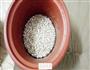 红薯薏米粥的做法图解2