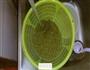 抹茶绿豆沙的做法图解1