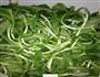 泡豇豆炝炒马兰头的做法图解2