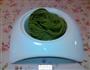 碧绿菠菜面的做法图解9