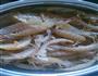 清蒸皮皮虾的做法图解2