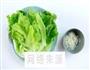 蒜蓉油淋生菜的做法图解1