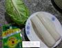 榨菜牛心菜炒年糕的做法图解1