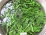 沙拉汁苜蓿的做法图解4