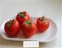 自制番茄酱的做法图解1