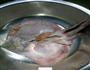 炖老板鱼的做法图解1