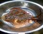 炖老板鱼的做法图解2