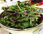 蒜香苋菜的做法图解3